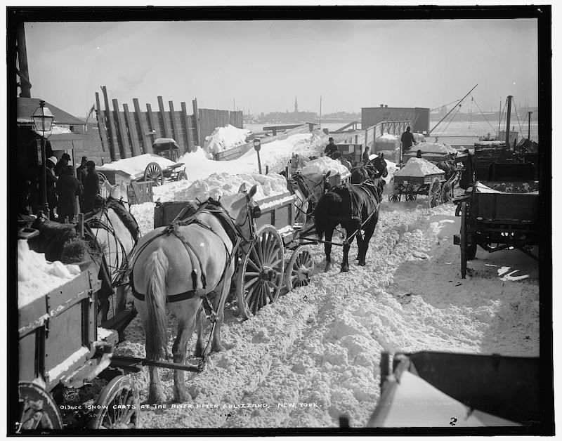 horse drawn snow carts piled high with snow during the horse era