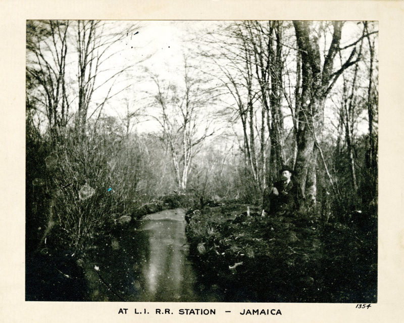 Jamaica Queens in 1850s
