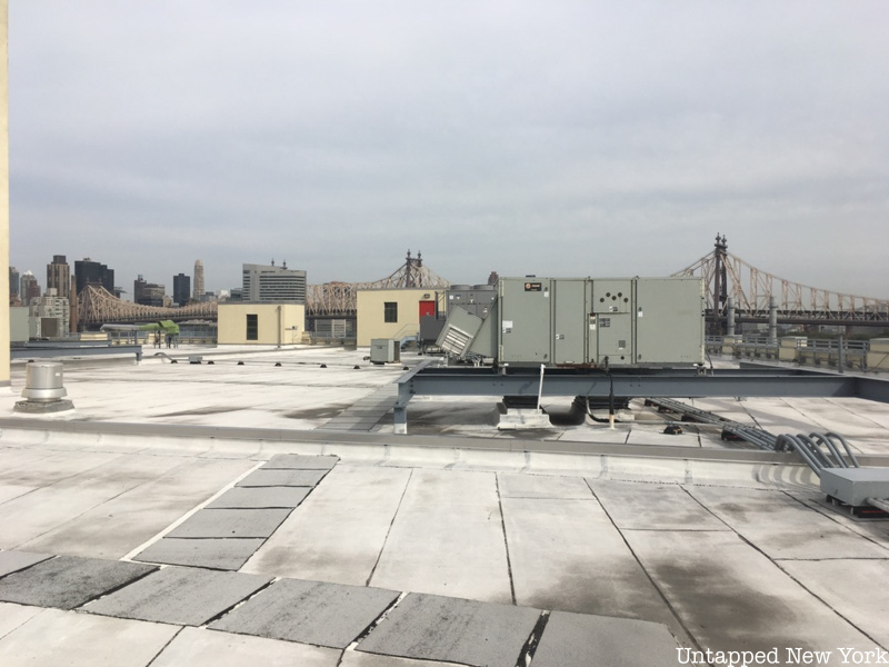 roof of department of education building
