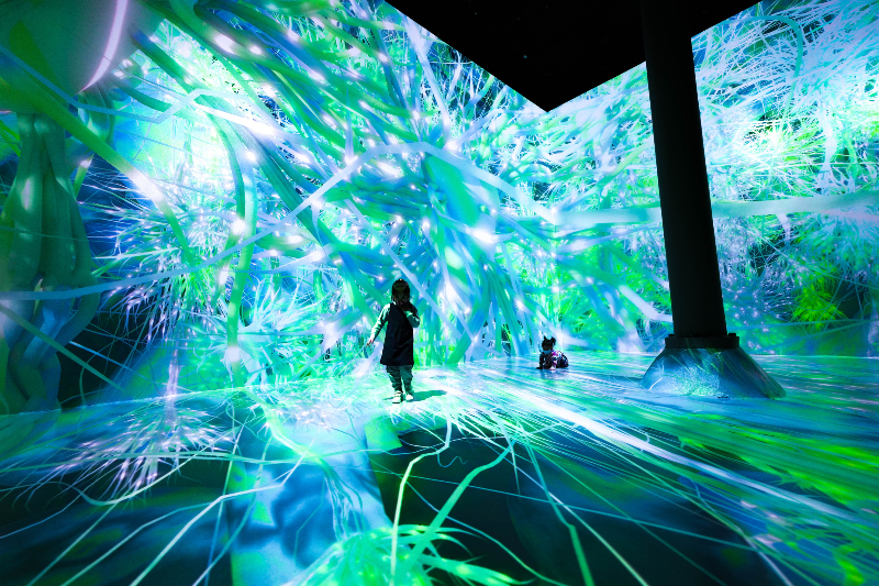 Two young people are present in a digital exhibition with green and blue patterns surrounding them on the walls and floor.
