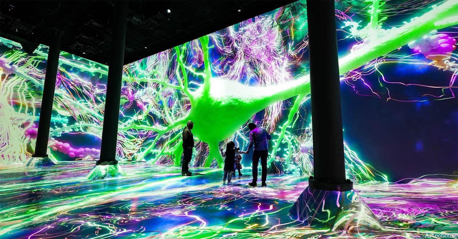 Adults and children stand inside an immersive art exhibition.