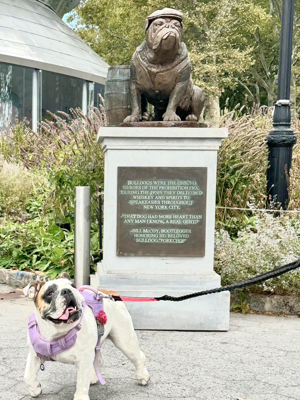 A dog stands in front of a statue dedicated to a bulldog bootlegger