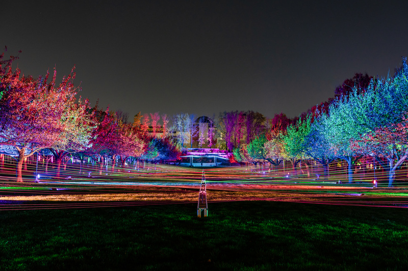 Lightscape at the Brooklyn Botanical Garden