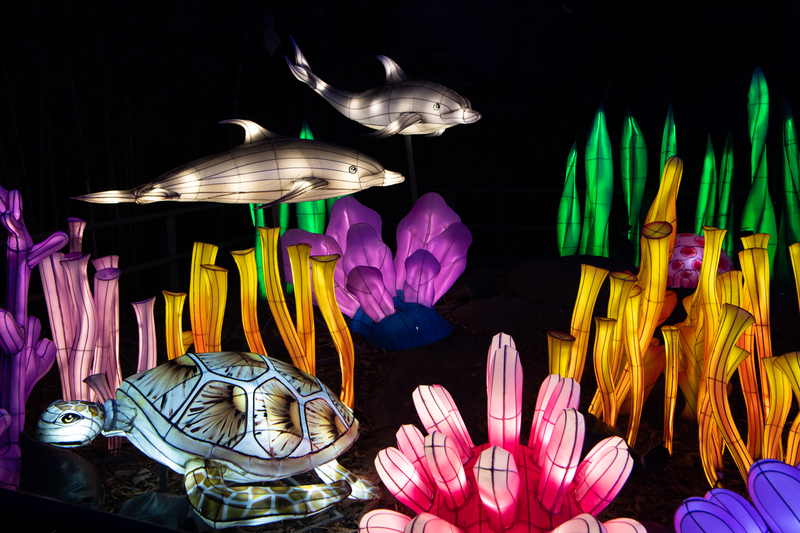 A dolphin, turtle, and sea faun lanterns glow against a black backdrop at the Bronx Zoo's unique holiday decorations display