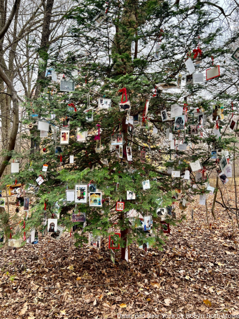 Secret Christmas tree pet memorial