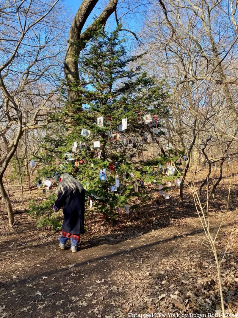 Secret pet memorial tree in Central Park