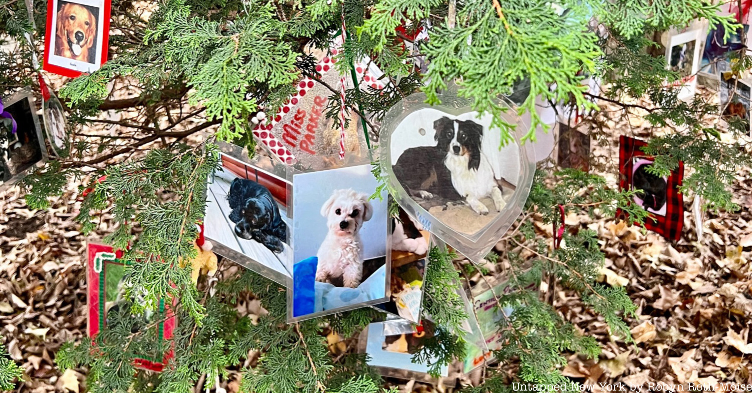 Secret Christmas tree pet memorial in Central Park