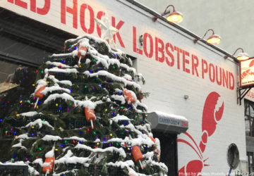 Red Hook Lobster Pound lobster trap tree