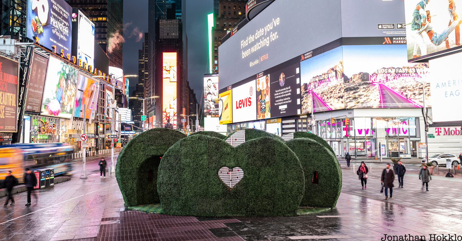 Love h|edge rose bush art installation in Times Square