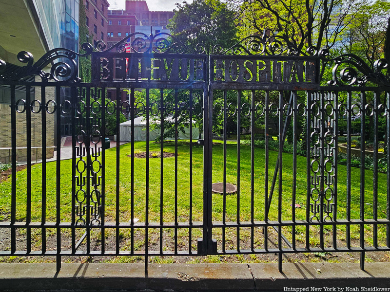 Bellevue Hospital fence