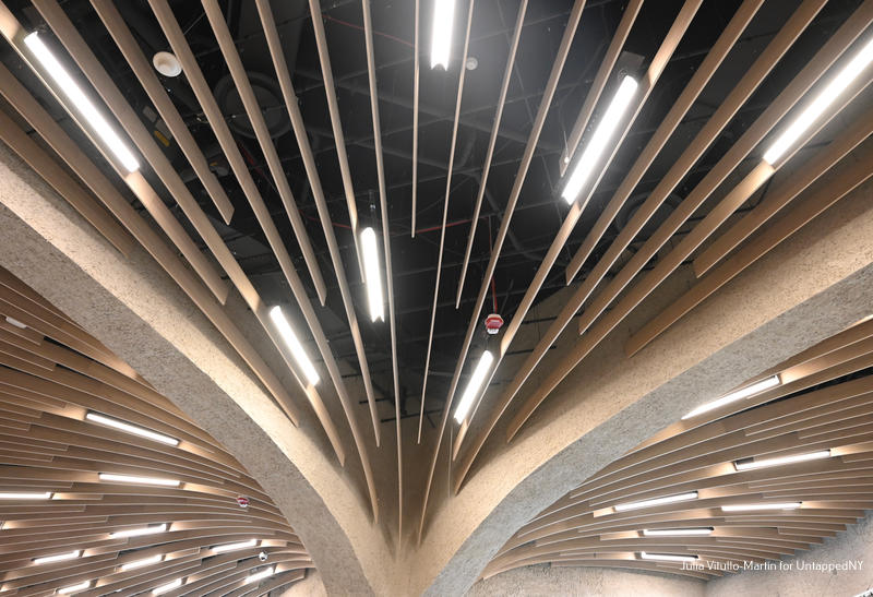 Ceiling of the Gottesman Research Library