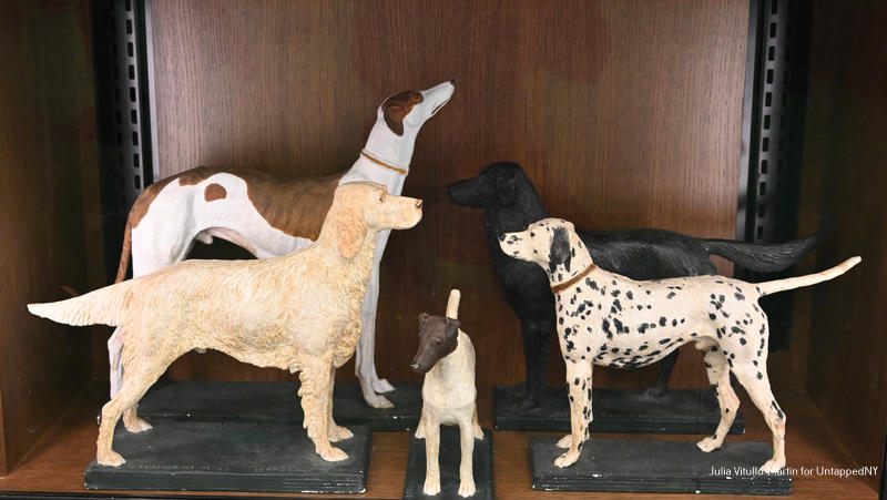 Μοντέλα σκύλων μέσα στην ερευνητική βιβλιοθήκη Gottesman