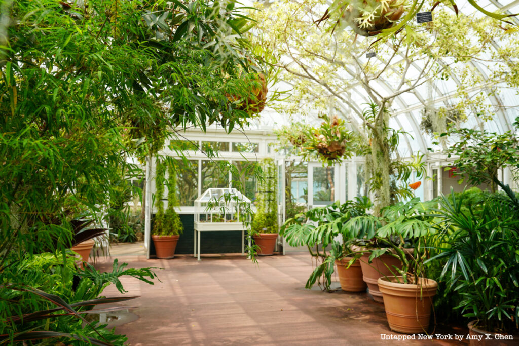 New York Botanical Garden- Summer Exhibit 2023- Ebony G. Patterson- Bronx- Untapped New York- NYC