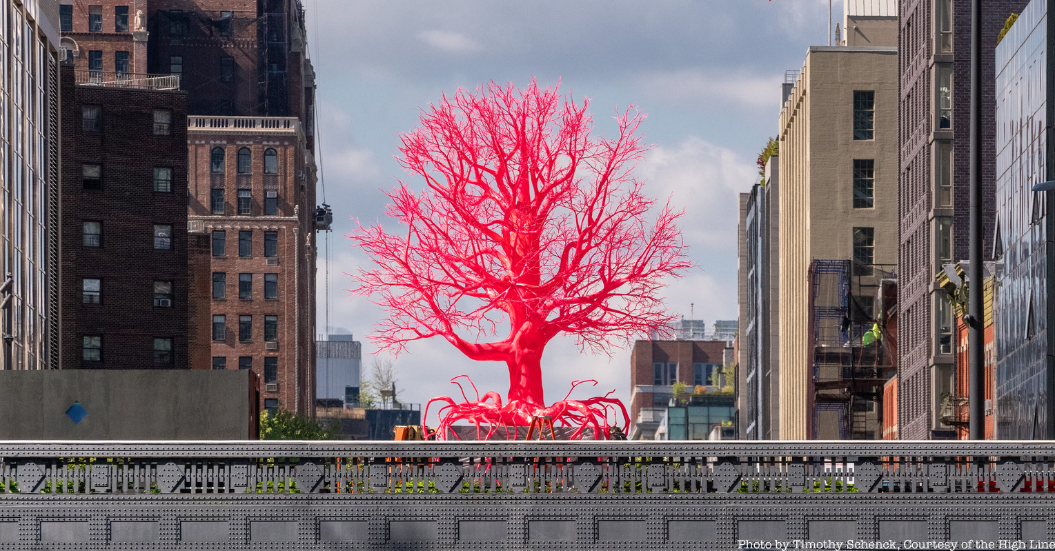 Old Tree on the High Line