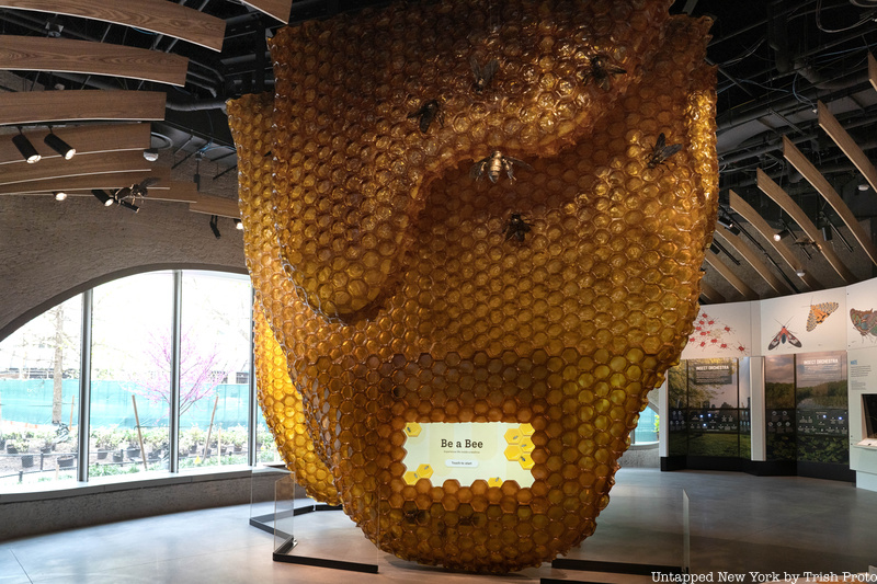 Beehive model at the Gilder Center at the American Museum of Natural History