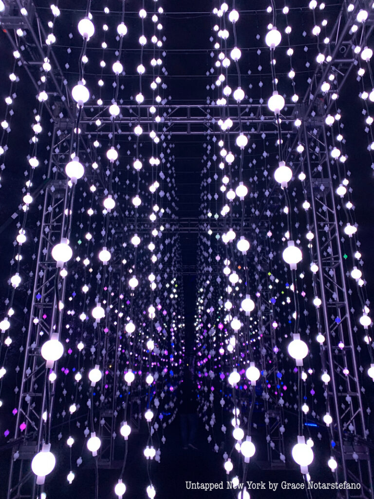 Dangling lights at BBG Lightscape