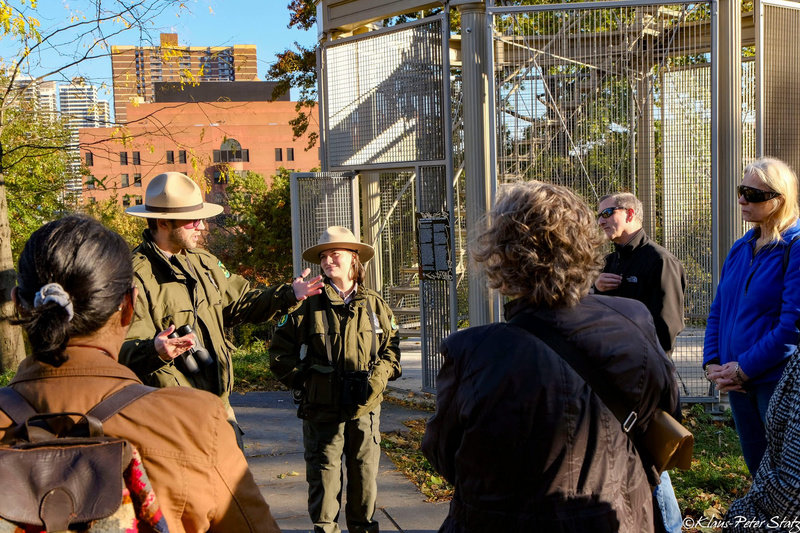 Urban Park Rangers talk to a group of Untapped New York Insiders