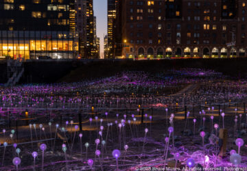 Field of Light at Freedom Plaza