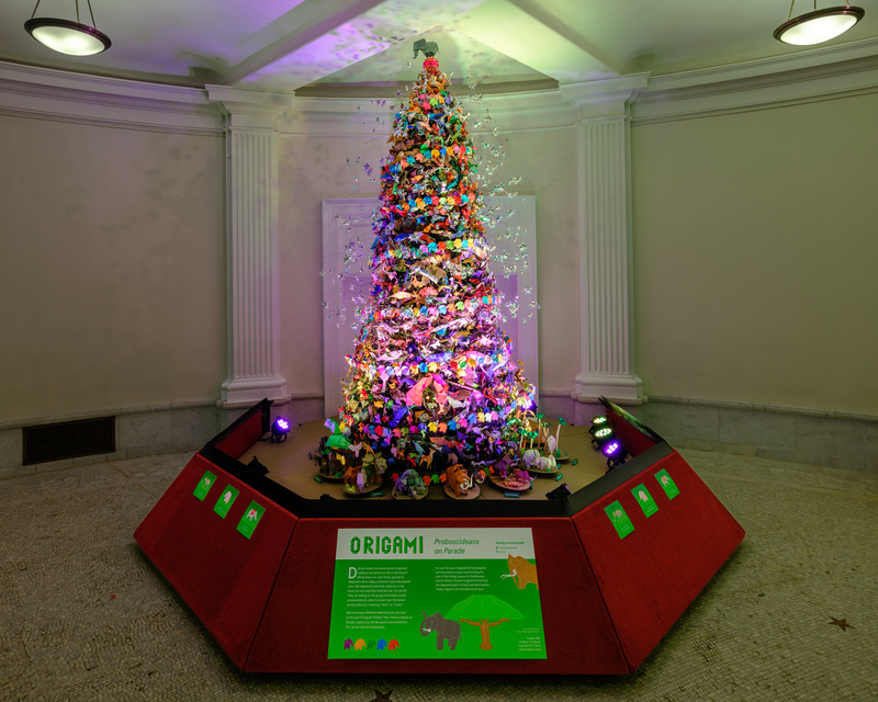 American Museum of Natural History Christmas Tree