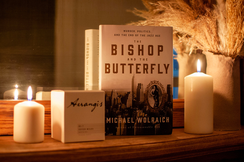 The Bishop and the Butterfly book on a mantle with candles
