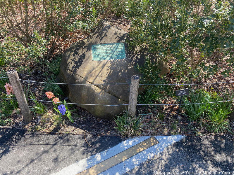 Rock, plaque and Brooklyn Flatbush border line in Brooklyn Botanic Garden