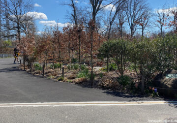 Brooklyn Flatbush border line in Brooklyn Botanic Garden