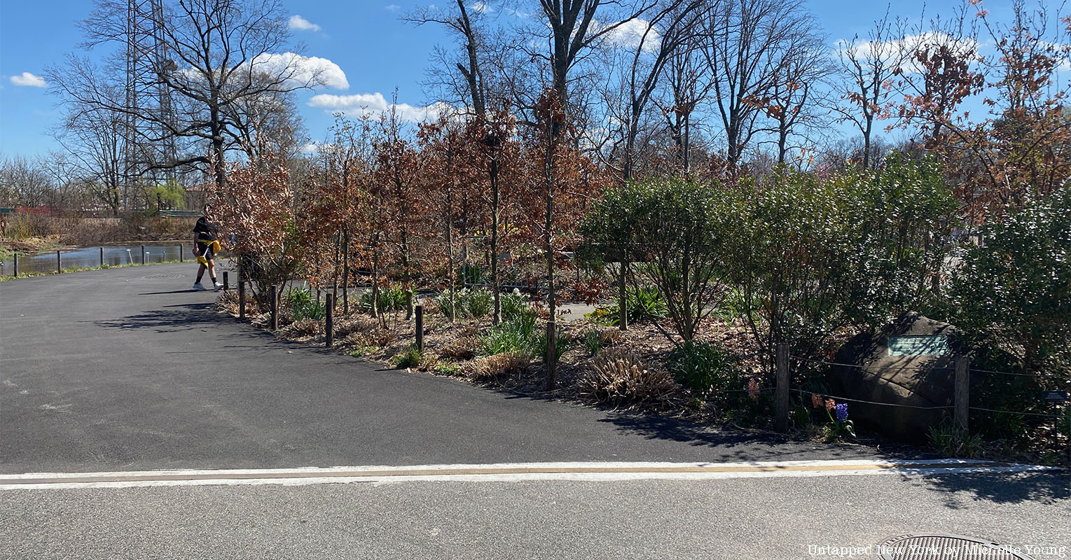 Brooklyn Flatbush border line in Brooklyn Botanic Garden