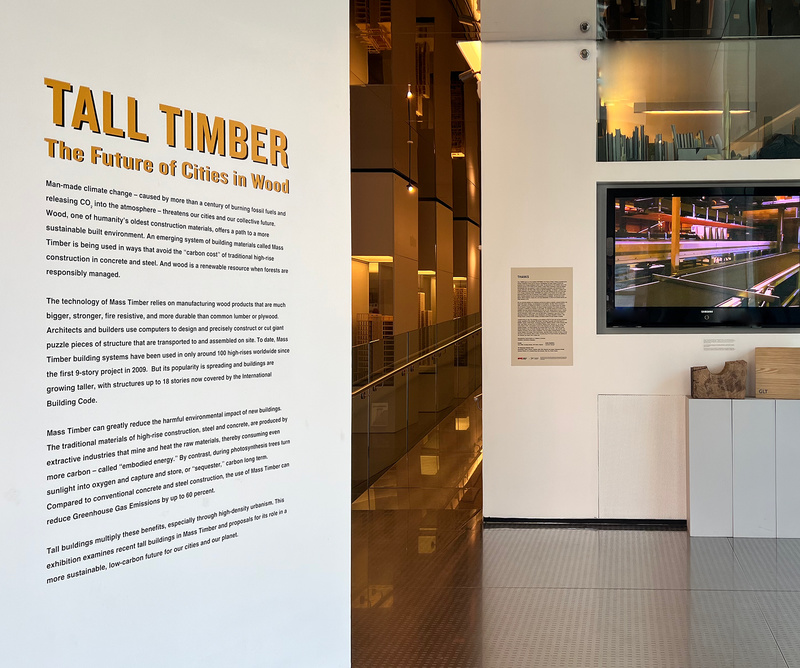 Tall Timbr exhibit