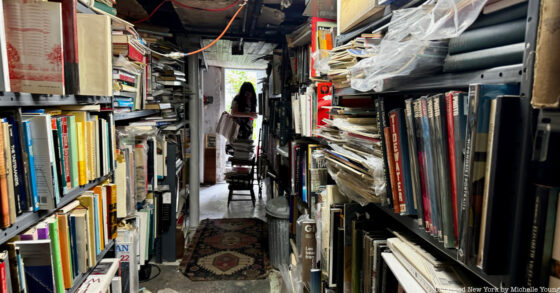 Inside a Hidden Basement Bookstore in Brooklyn
